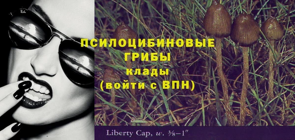первитин Абинск