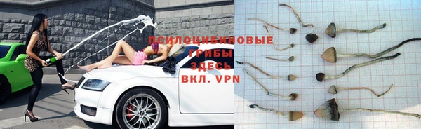 таблы Абаза