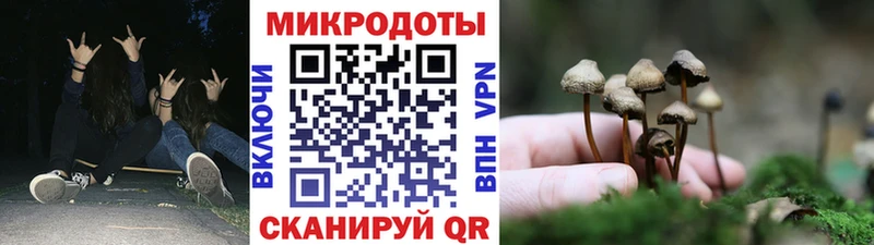 Псилоцибиновые грибы прущие грибы  Хилок 